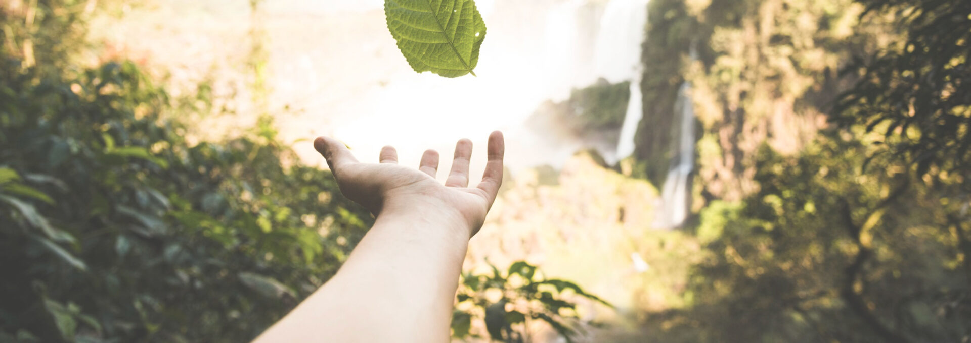 Sustentabilidade na Essência